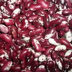 Сортова квасоля гуртом - великий асортимент 