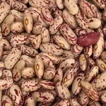 Продаємо квасолю різних сортів. В наявності є різні сорти