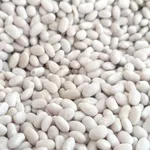 Пропонуємо квасолю від виробника у великих обсягах різних сортів. 