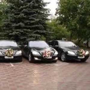 Свадебный кортеж, свадебные кортежи с различных марок автомобилей