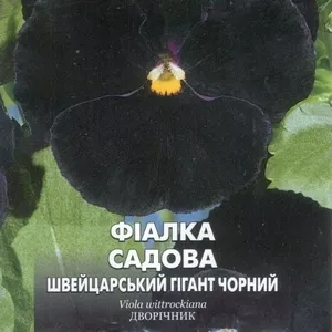 Семена виолы садовой «Швейцарский гигант черный»,  ТМ SeedEra - 0, 1 гр