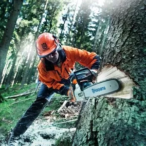 Рабочие в Литве по заготовке древесины,  вальщики,  пильщики леса
