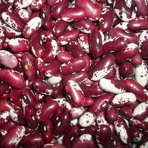 Продаж квасолі оптом в Україні