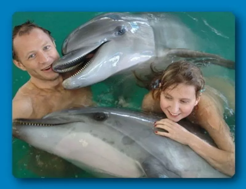 Купание с дельфинами и дельфинотерапия в г. Хмельник! Подарочные сертификаты в Виннице 2