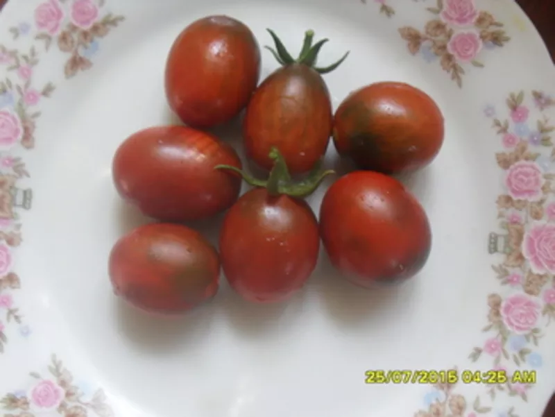 Продам семена коллекционных томатов. 4