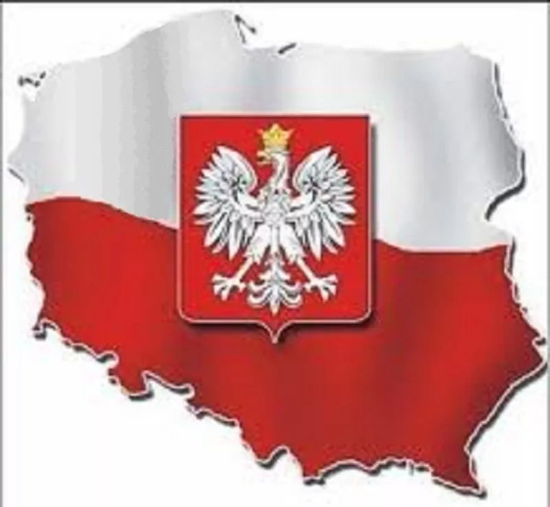Оформление ВНЖ и бизнес в Польше