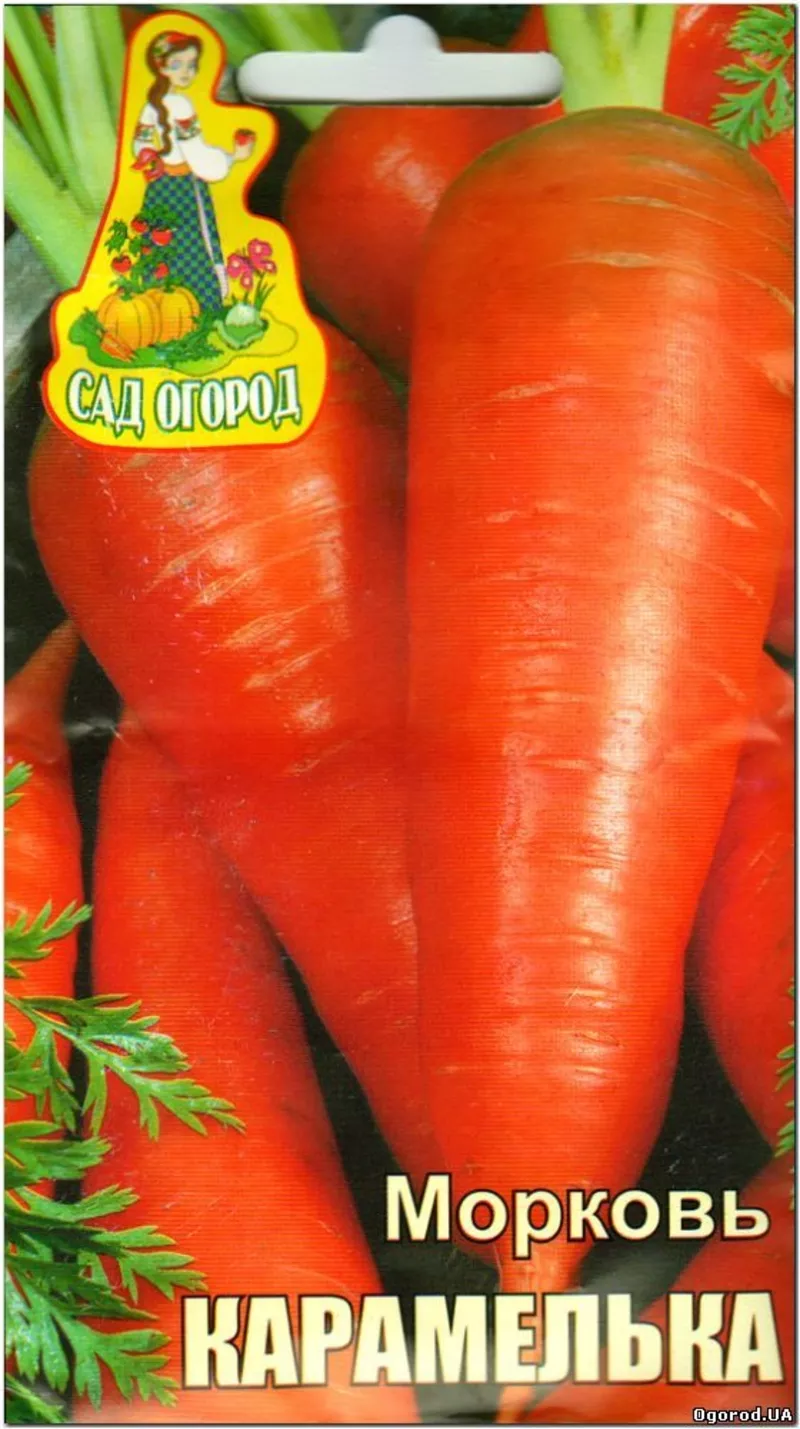 Морква «Карамелька» - 2 грамма