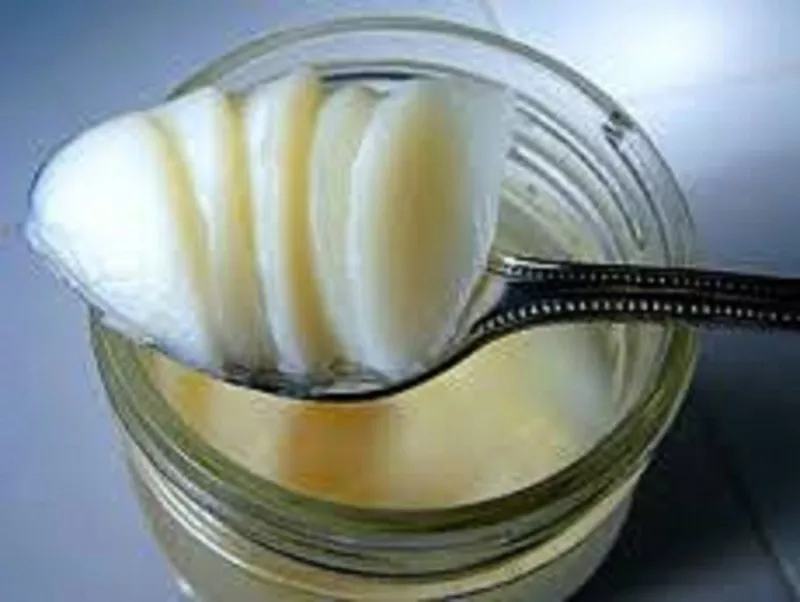 Скупка отработанных растительных масел и технических жиров.